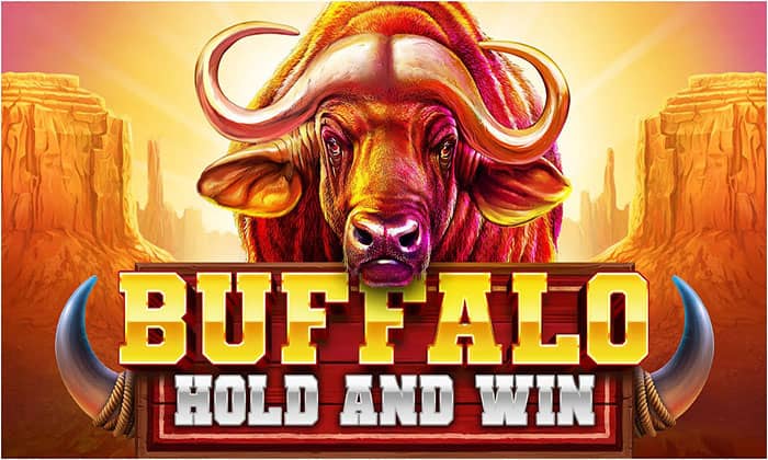 Buffalo Power: Hold and Win