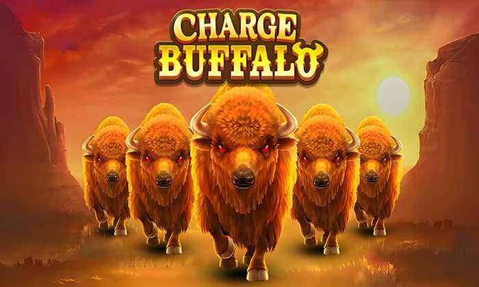 차지 버팔로 (Charge Buffalo)
