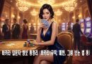 바카라 입문자 정보 총정리
