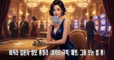 바카라 입문자 정보 총정리