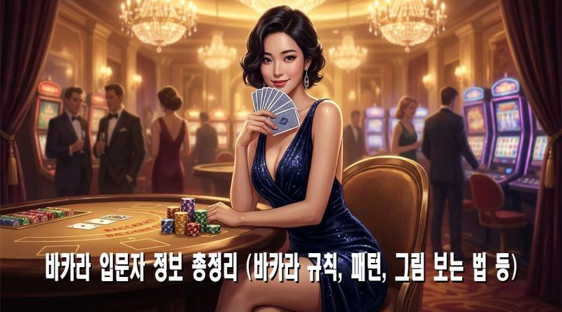 바카라 입문자 정보 총정리