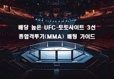 UFC 토토사이트 선택 기준