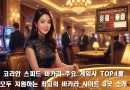 코리안 스피드 바카라 게임사 TOP4를 모두 지원하는 사이트